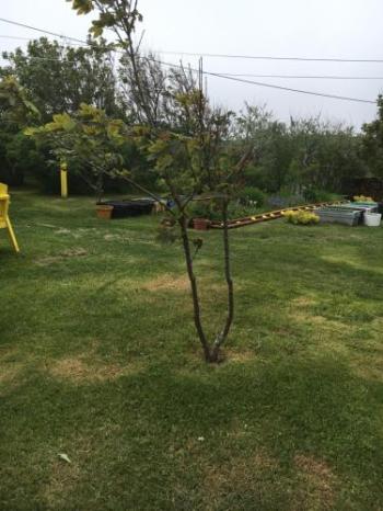 Abbott's Bed & Breakfast