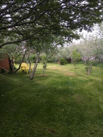 Abbott's Bed & Breakfast