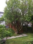 Abbott's Bed & Breakfast image 17