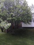 Abbott's Bed & Breakfast image 19