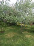Abbott's Bed & Breakfast image 26