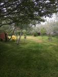 Abbott's Bed & Breakfast image 9
